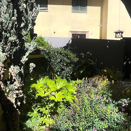 Loquat House Nel Giardino Segreto In Zona Vaticano Řím Exteriér fotografie