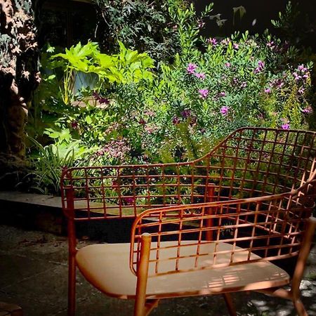 Loquat House Nel Giardino Segreto In Zona Vaticano Řím Exteriér fotografie