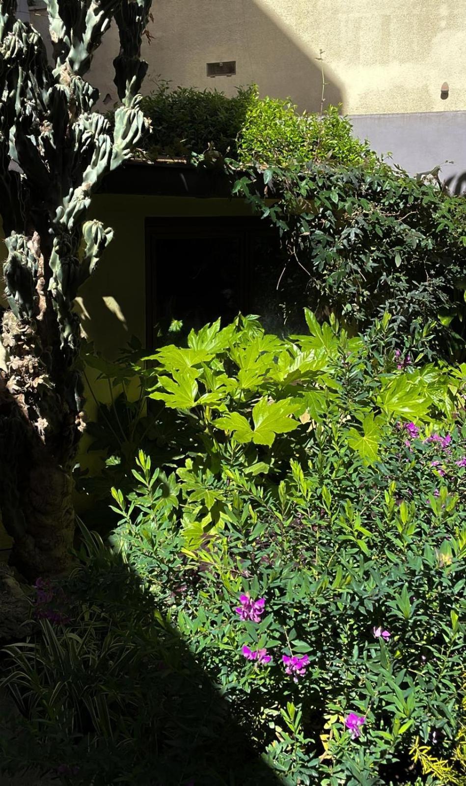 Loquat House Nel Giardino Segreto In Zona Vaticano Řím Exteriér fotografie