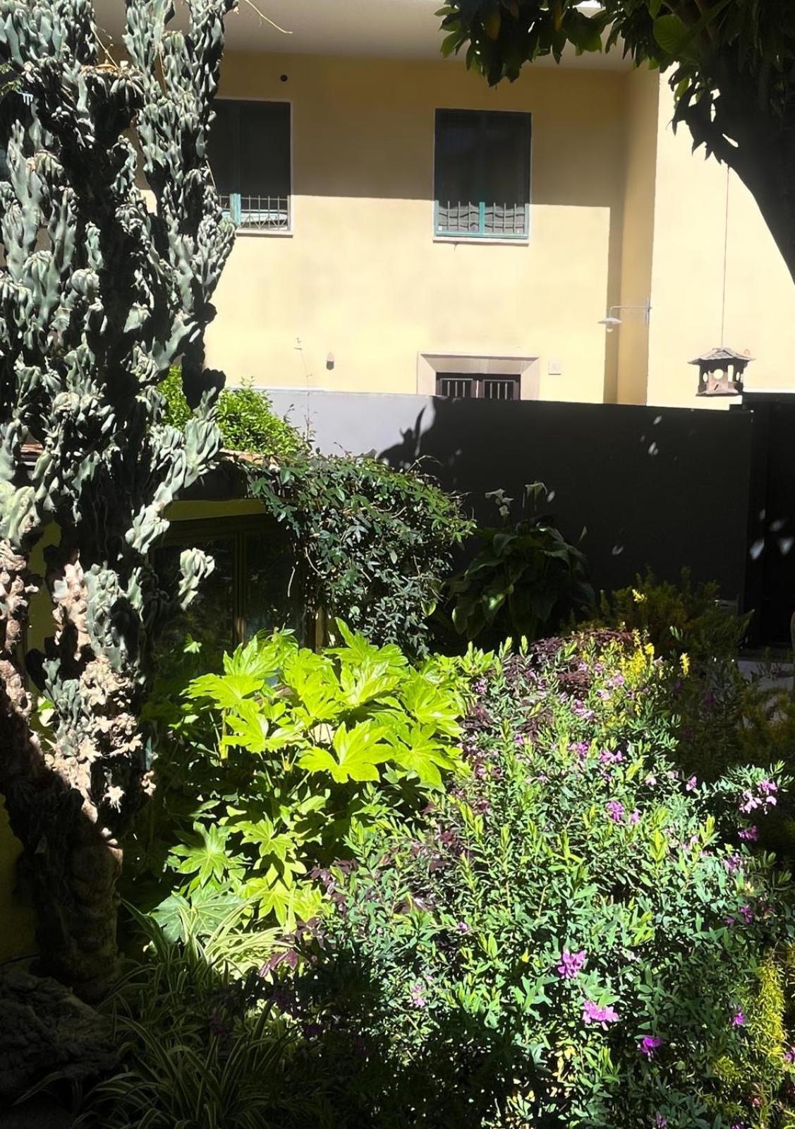 Loquat House Nel Giardino Segreto In Zona Vaticano Řím Exteriér fotografie