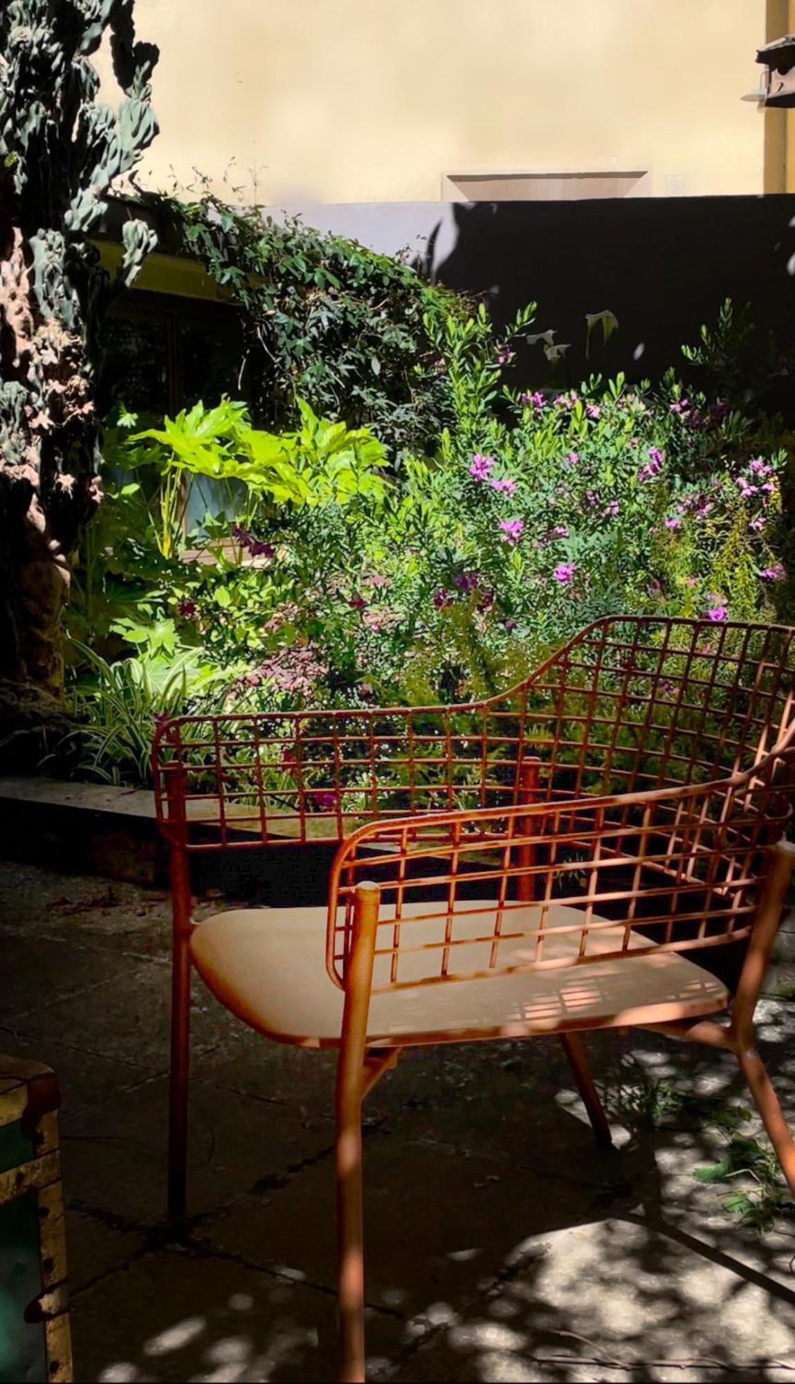 Loquat House Nel Giardino Segreto In Zona Vaticano Řím Exteriér fotografie